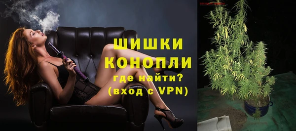 шишки Дмитриев