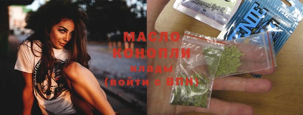 шишки Дмитриев