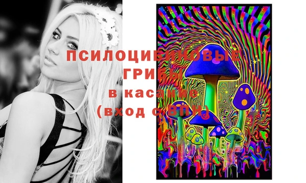 ГАЛЛЮЦИНОГЕННЫЕ ГРИБЫ Дмитров