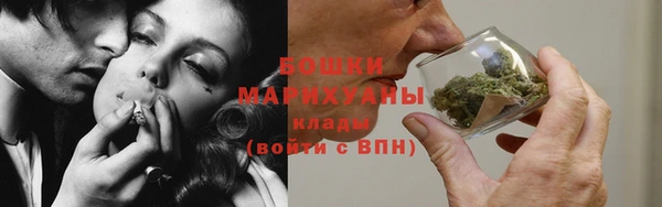 шишки Дмитриев