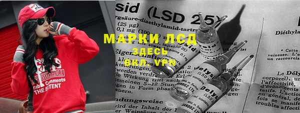 шишки Дмитриев