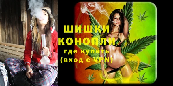 шишки Дмитриев