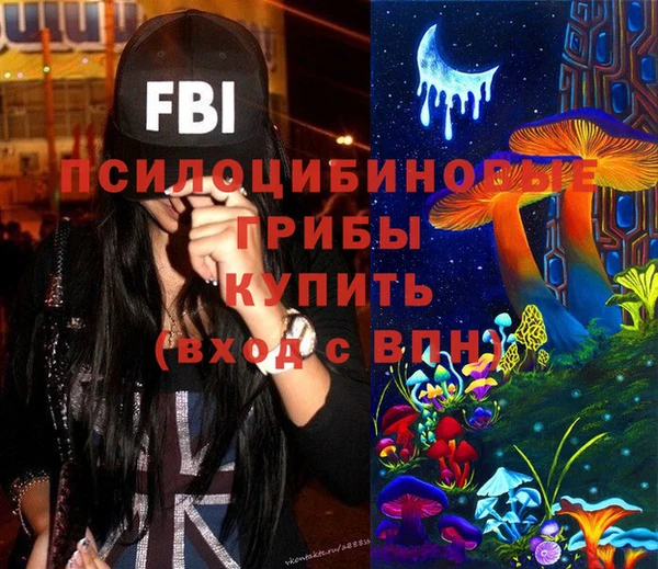 шишки Дмитриев