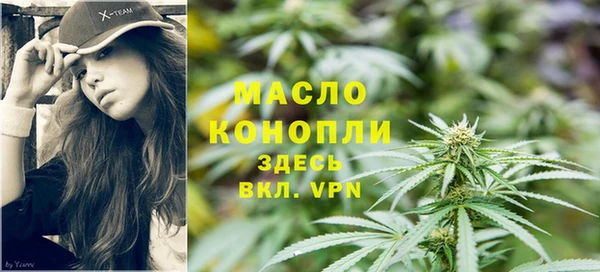 шишки Дмитриев