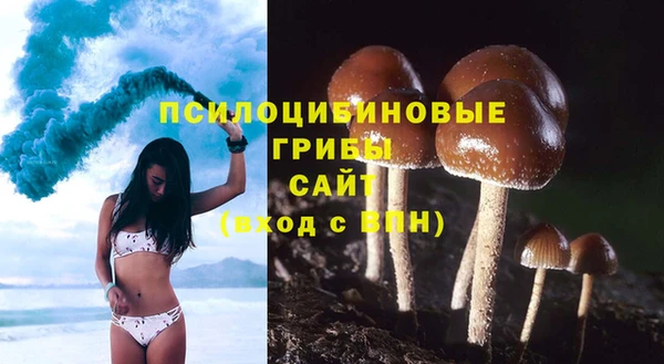 ГАЛЛЮЦИНОГЕННЫЕ ГРИБЫ Дмитров