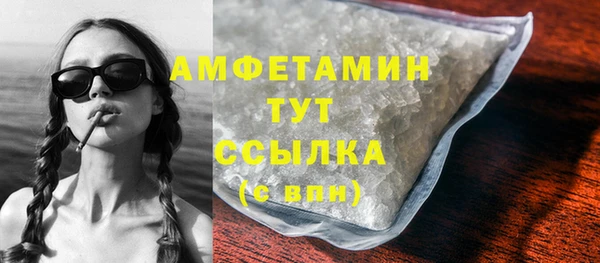 шишки Дмитриев