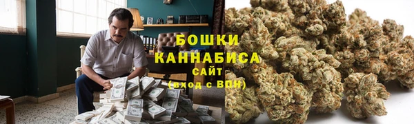 шишки Дмитриев