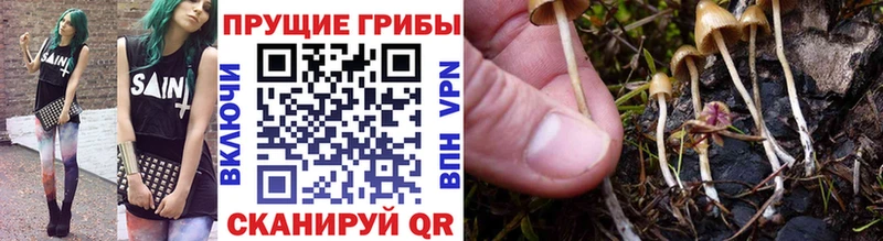Галлюциногенные грибы мицелий  Ельня 